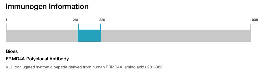 FRMD4A Polyclonal Antibody