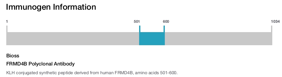 FRMD4B Polyclonal Antibody