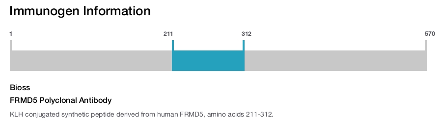 FRMD5 Polyclonal Antibody