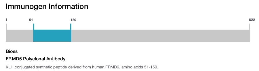 FRMD6 Polyclonal Antibody