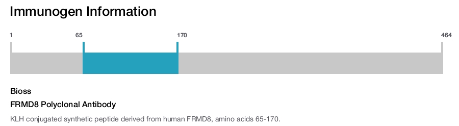 FRMD8 Polyclonal Antibody