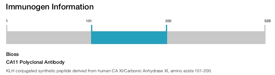 CA11 Polyclonal Antibody