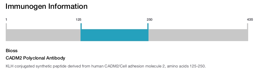 CADM2 Polyclonal Antibody