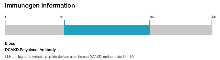 DCAKD Polyclonal Antibody