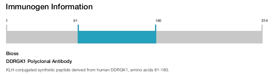 DDRGK1 Polyclonal Antibody