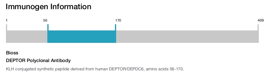 DEPTOR Polyclonal Antibody