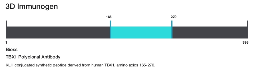 TBX1 Polyclonal Antibody
