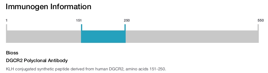 DGCR2 Polyclonal Antibody
