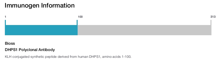 DHPS1 Polyclonal Antibody