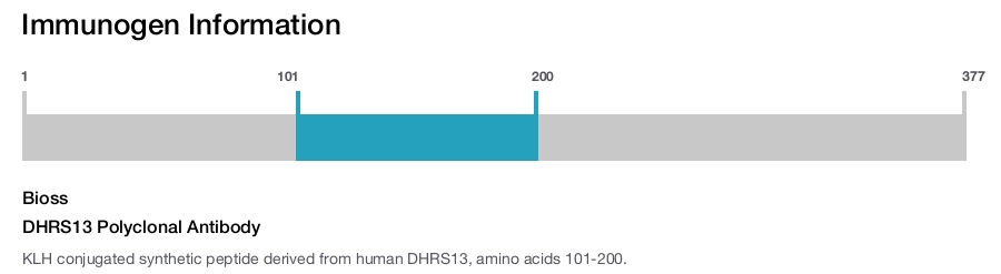 DHRS13 Polyclonal Antibody
