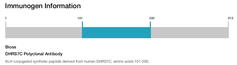 DHRS7C Polyclonal Antibody