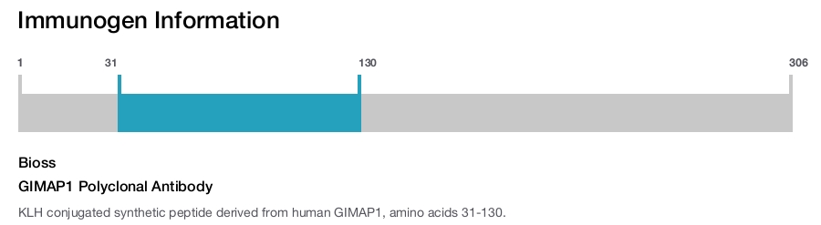 GIMAP1 Polyclonal Antibody