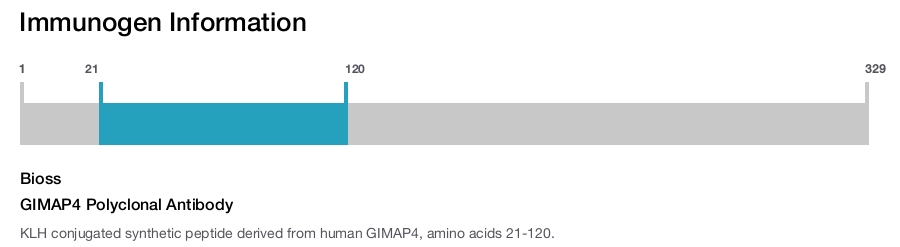 GIMAP4 Polyclonal Antibody