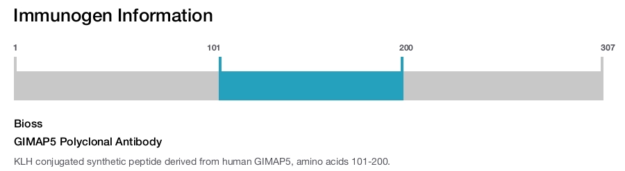 GIMAP5 Polyclonal Antibody