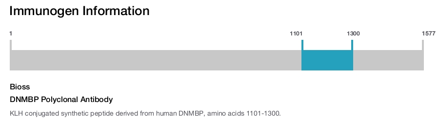 DNMBP Polyclonal Antibody