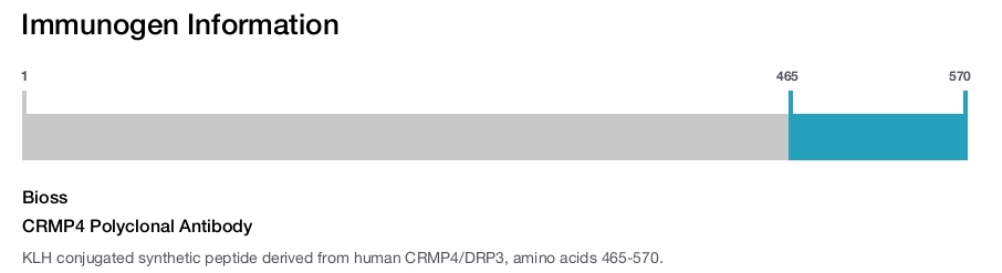 CRMP4 Polyclonal Antibody