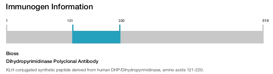 Dihydropyrimidinase Polyclonal Antibody