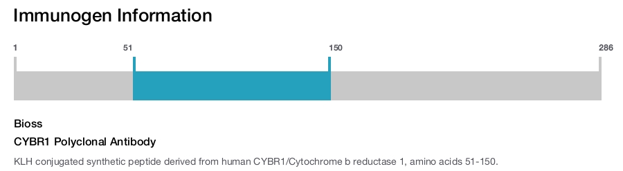 CYBR1 Polyclonal Antibody