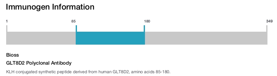 GLT8D2 Polyclonal Antibody