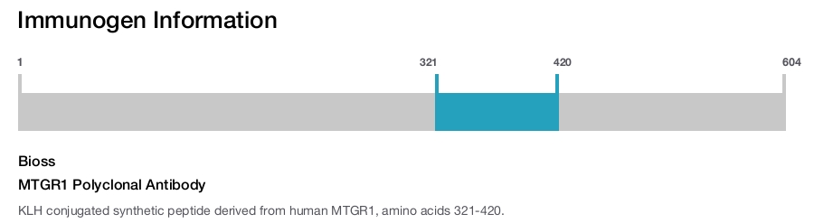 MTGR1 Polyclonal Antibody