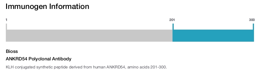 ANKRD54 Polyclonal Antibody