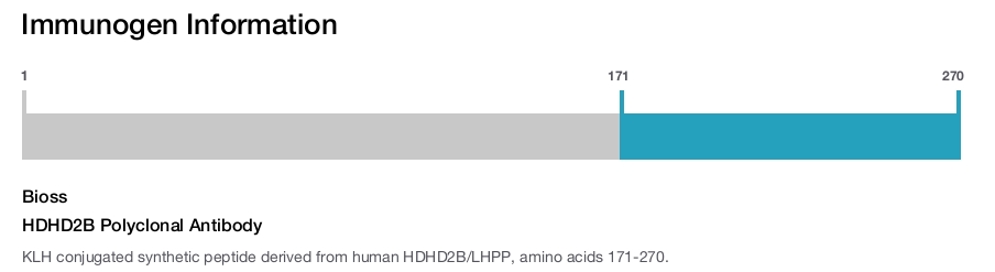 HDHD2B Polyclonal Antibody