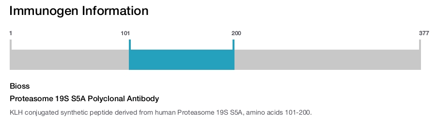 Proteasome 19S S5A Polyclonal Antibody
