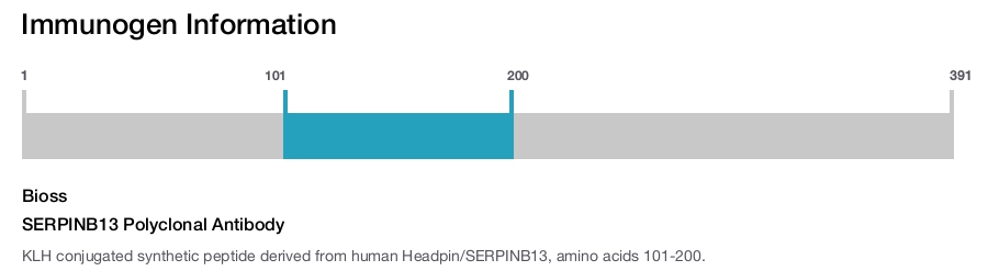 SERPINB13 Polyclonal Antibody