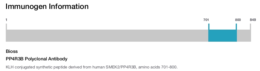 PP4R3B Polyclonal Antibody