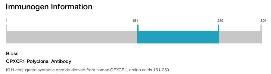 CPXCR1 Polyclonal Antibody