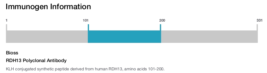 RDH13 Polyclonal Antibody