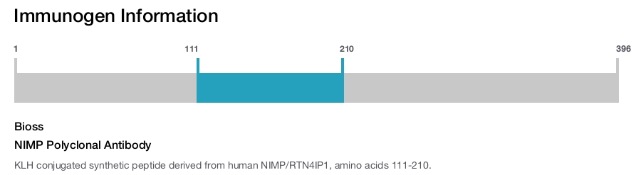 NIMP Polyclonal Antibody