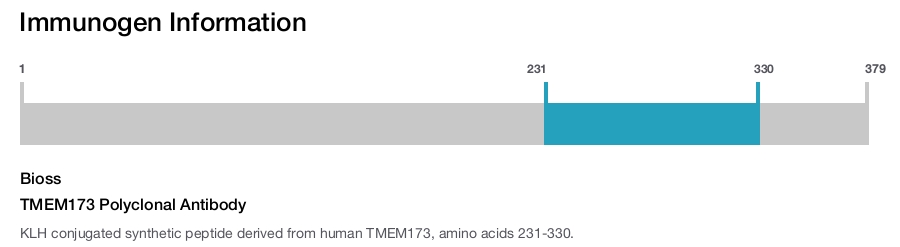 TMEM173 Polyclonal Antibody