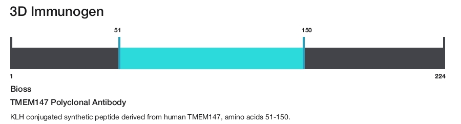 TMEM147 Polyclonal Antibody