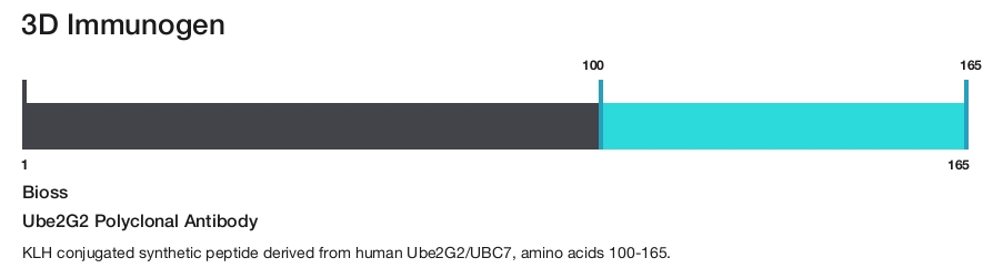 Ube2G2 Polyclonal Antibody