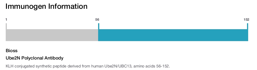 Ube2N Polyclonal Antibody