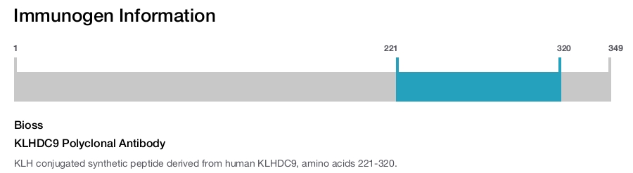 KLHDC9 Polyclonal Antibody