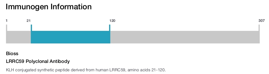 LRRC59 Polyclonal Antibody