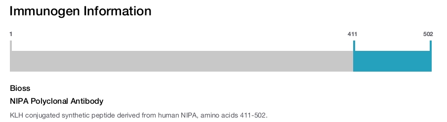 NIPA Polyclonal Antibody