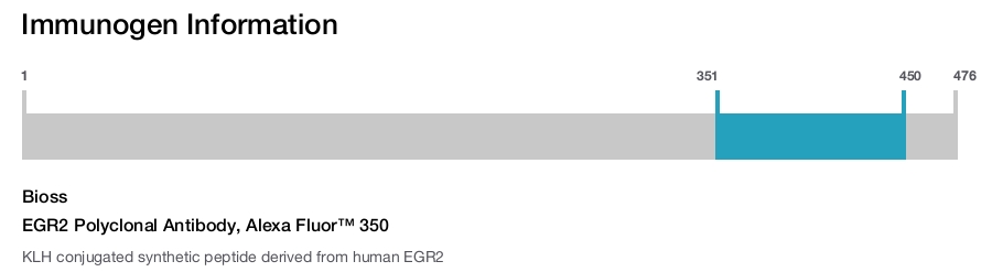 EGR2 Polyclonal Antibody, Alexa Fluor&trade; 350