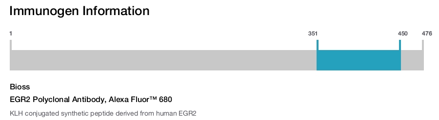 EGR2 Polyclonal Antibody, Alexa Fluor&trade; 680