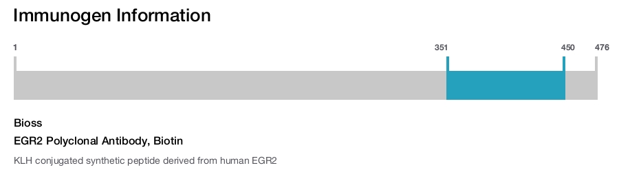 EGR2 Polyclonal Antibody, Biotin