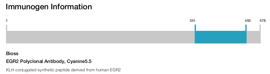 EGR2 Polyclonal Antibody, Cyanine5.5