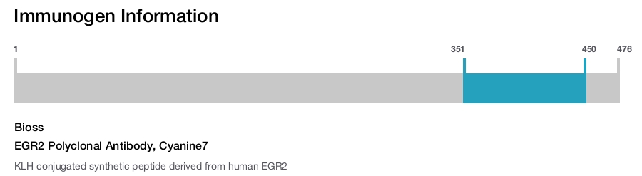 EGR2 Polyclonal Antibody, Cyanine7