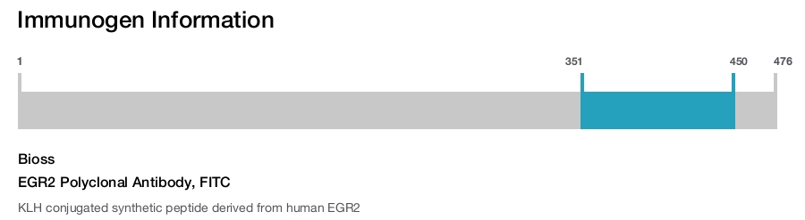 EGR2 Polyclonal Antibody, FITC