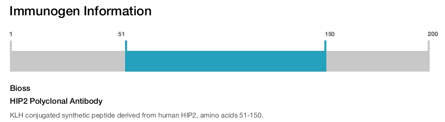 HIP2 Polyclonal Antibody