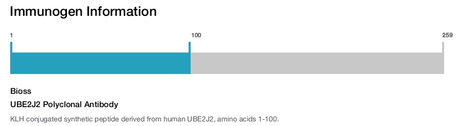 UBE2J2 Polyclonal Antibody