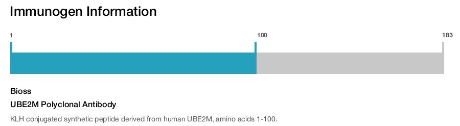 UBE2M Polyclonal Antibody