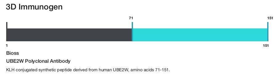 UBE2W Polyclonal Antibody