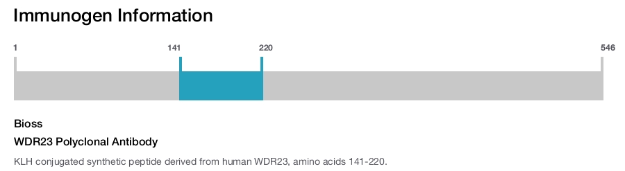 WDR23 Polyclonal Antibody